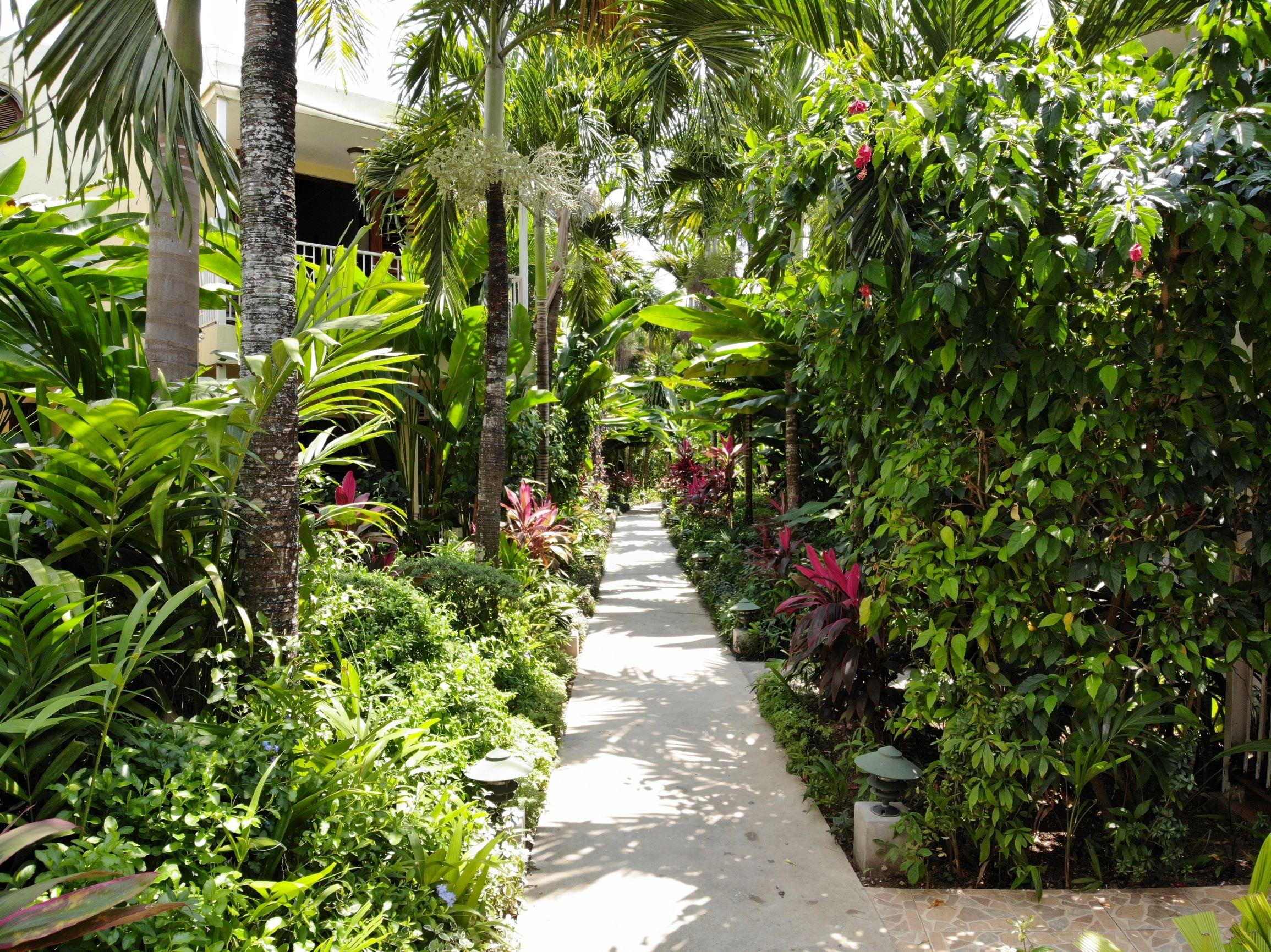 Negril Palms Hotell Eksteriør bilde