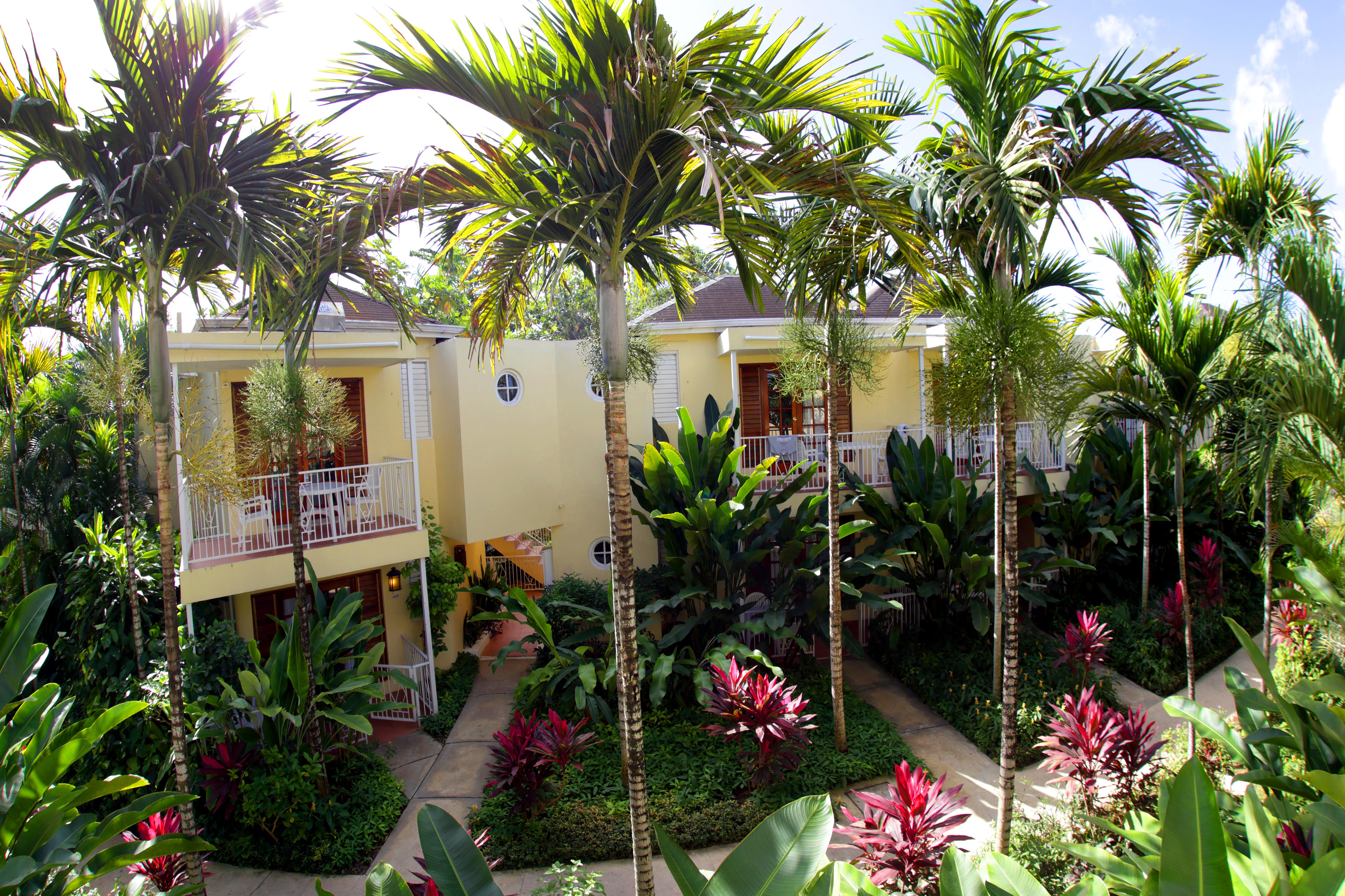 Negril Palms Hotell Eksteriør bilde